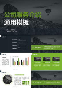 熊猫办公软件服务介绍PPT模板 18页专业展示您的产品与服务